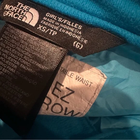 North face blue snow pants